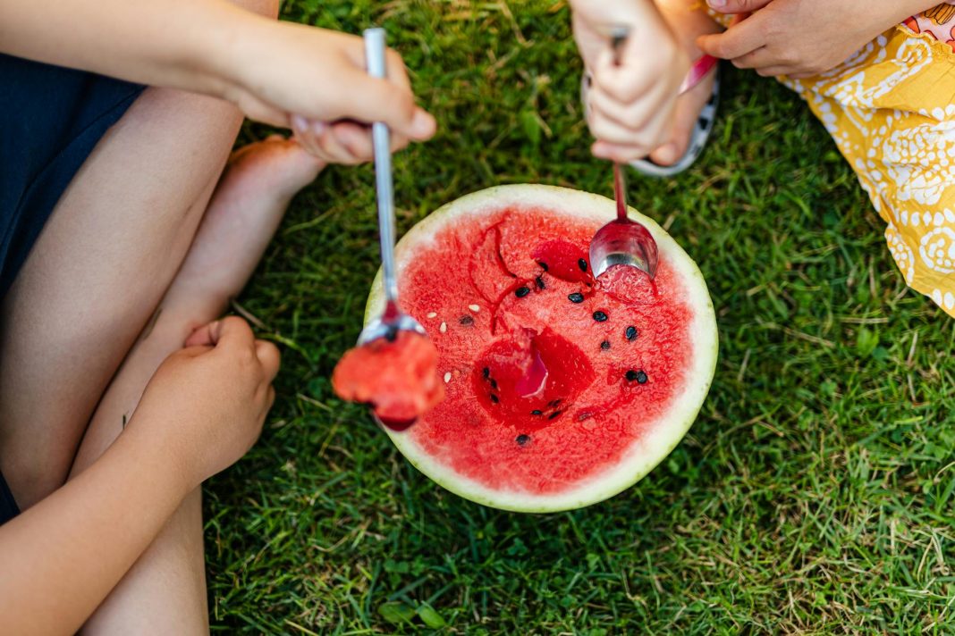 The Family Food Frenzy: Navigating Nutrition Without the Drama