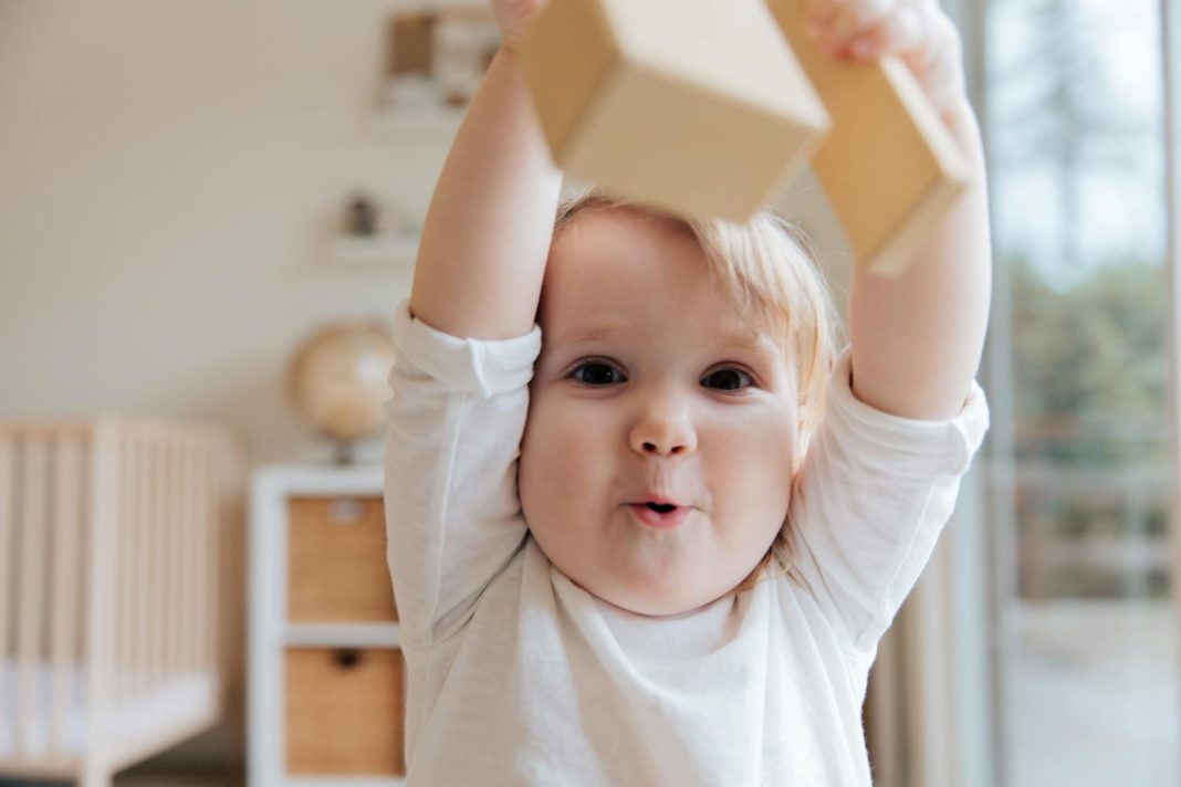 The Family Roadmap:  Navigating Life's Twisty Roads with Boundaries and Discipline