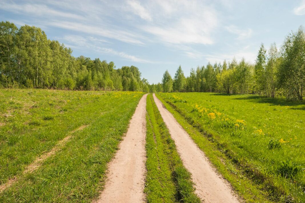 Keeping Up with the Little Ones: A Parent's Everyday Guide to Childhood Wellness