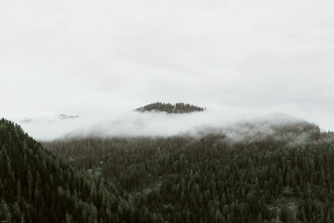 Hold On Tight: Navigating the Wonderful, Wild World of Toddlerhood